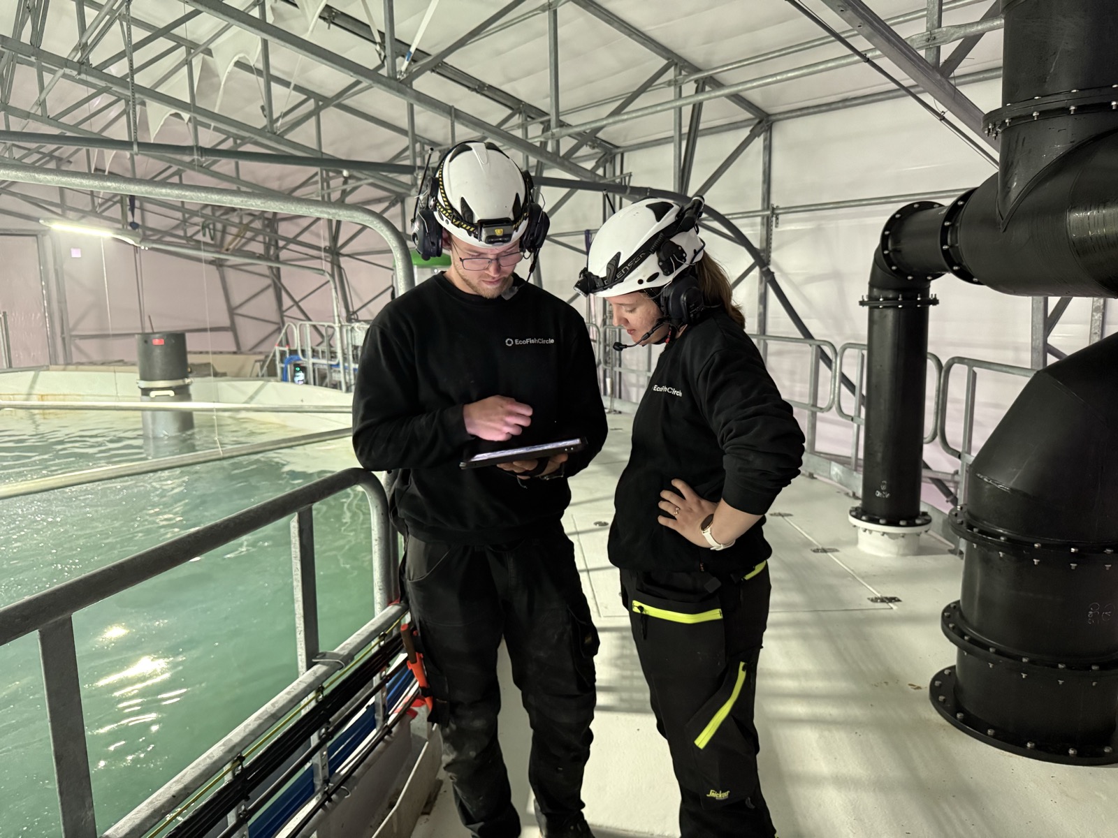 EcoFishCircle crew at the Hausvik mRAS facility